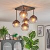 Koyoto ceiling light, globe light 37 cm clear, Smoke-coloured, 5-light sources