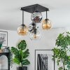 Ripoll ceiling light, globe light Amber, clear, Smoke-coloured, 5-light sources