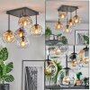 Ripoll ceiling light, globe light Amber, clear, Smoke-coloured, 5-light sources