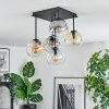 Ripoll ceiling light, globe light Amber, clear, Smoke-coloured, 5-light sources