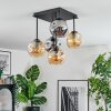Ripoll ceiling light, globe light Amber, Smoke-coloured, 5-light sources