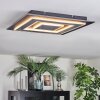 Lidor ceiling light LED black, 1-light source