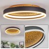 Guine ceiling light LED gold, black, 1-light source