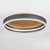 Guine ceiling light LED gold, black, 1-light source