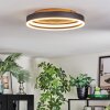 Guine ceiling light LED gold, black, 1-light source