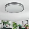 Salmi ceiling light, Panel LED grey, silver, 1-light source, Remote control
