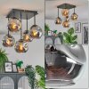 Ripoll ceiling light, globe light Smoke-coloured, 5-light sources