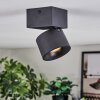 Narel ceiling light, ceiling spotlight LED black, 1-light source