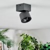 Narel ceiling light, ceiling spotlight LED black, 1-light source