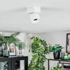 Narel ceiling light, ceiling spotlight LED white, 1-light source