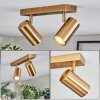 Javel ceiling light, ceiling spotlight gold, 2-light sources