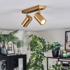 Javel ceiling light, ceiling spotlight gold, 2-light sources