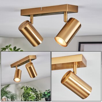 Javel ceiling light, ceiling spotlight gold, 2-light sources