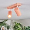 Javel ceiling light, ceiling spotlight pink, white, 2-light sources
