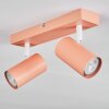 Javel ceiling light, ceiling spotlight pink, white, 2-light sources
