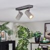 Javel ceiling light, ceiling spotlight chrome, grey, 2-light sources