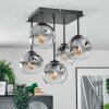 Ripoll ceiling light, globe light clear, Smoke-coloured, 5-light sources