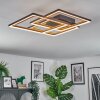 Binor ceiling light LED Ecru, black, 1-light source