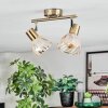 Saire ceiling light, ceiling spotlight chrome, brass, 2-light sources