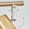 Saire ceiling light, ceiling spotlight chrome, brass, 2-light sources