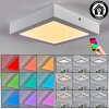Omaro ceiling light, Panel LED white, 1-light source, Colour changer