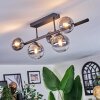 Chehalis ceiling light, globe light clear, Smoke-coloured, 5-light sources