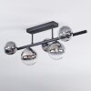 Chehalis ceiling light, globe light clear, Smoke-coloured, 5-light sources
