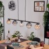Gastor hanging light, globe light, pendant light Amber, clear, Smoke-coloured, 5-light sources