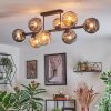 Ripoll ceiling light, globe light Amber, Smoke-coloured, 8-light sources
