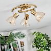 Saire ceiling light, ceiling spotlight chrome, brass, 3-light sources