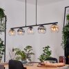 Koyoto hanging light, globe light, pendant light Amber, clear, Smoke-coloured, 5-light sources