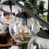 Koyoto hanging light, globe light, pendant light Amber, clear, Smoke-coloured, 5-light sources