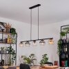Koyoto hanging light, globe light, pendant light Amber, clear, Smoke-coloured, 5-light sources
