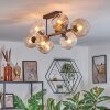 Koyoto ceiling light, globe light Amber, clear, Smoke-coloured, 8-light sources