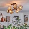 Ripoll ceiling light, globe light Amber, clear, Smoke-coloured, 8-light sources