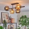 Ripoll ceiling light, globe light Amber, clear, Smoke-coloured, 5-light sources