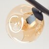 Ripoll ceiling light, globe light Amber, clear, Smoke-coloured, 5-light sources