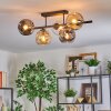 Ripoll ceiling light, globe light Amber, clear, Smoke-coloured, 5-light sources