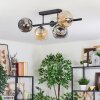 Ripoll ceiling light, globe light Amber, clear, Smoke-coloured, 5-light sources