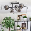 Ripoll ceiling light, globe light Smoke-coloured, 5-light sources