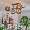 Ripoll ceiling light, globe light Smoke-coloured, 5-light sources