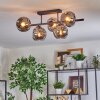 Ripoll ceiling light, globe light Smoke-coloured, 5-light sources