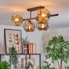 Ripoll ceiling light, globe light Amber, Smoke-coloured, 5-light sources