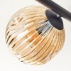 Ripoll ceiling light, globe light Amber, clear, Smoke-coloured, 5-light sources