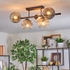 Ripoll ceiling light, globe light Amber, clear, Smoke-coloured, 5-light sources