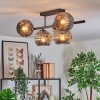Ripoll ceiling light, globe light Smoke-coloured, 5-light sources