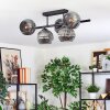 Ripoll ceiling light, globe light Smoke-coloured, 5-light sources