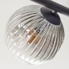 Ripoll ceiling light, globe light Amber, clear, Smoke-coloured, 5-light sources
