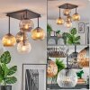 Ripoll ceiling light, globe light Amber, clear, Smoke-coloured, 5-light sources