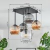 Ripoll ceiling light, globe light Amber, clear, Smoke-coloured, 5-light sources